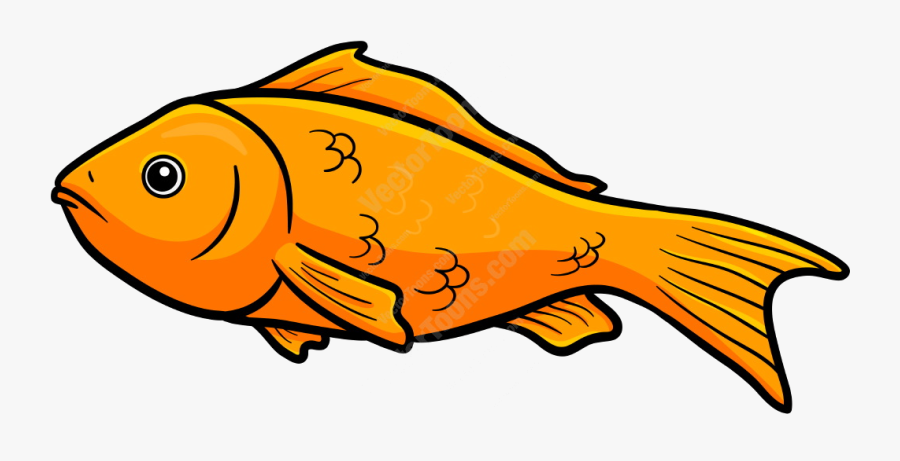 Fish Orange Clipart Free Best On Transparent Png - Orange Fish Clipart, Transparent Clipart