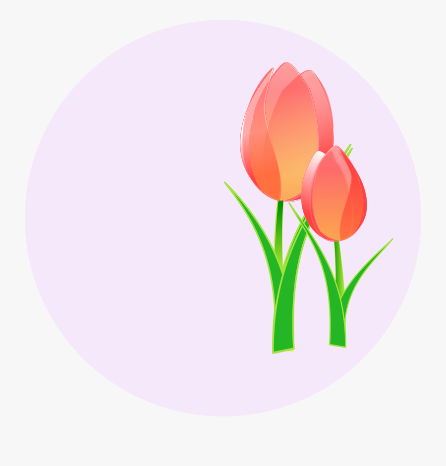 Transparent Grid Clipart - Circle, Transparent Clipart