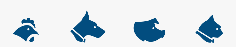 Feed - Companion Dog, Transparent Clipart