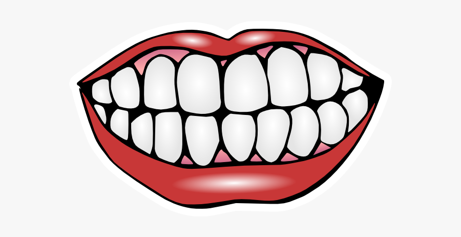 Speedy Denture Repair Services - Clipart Teeth, Transparent Clipart