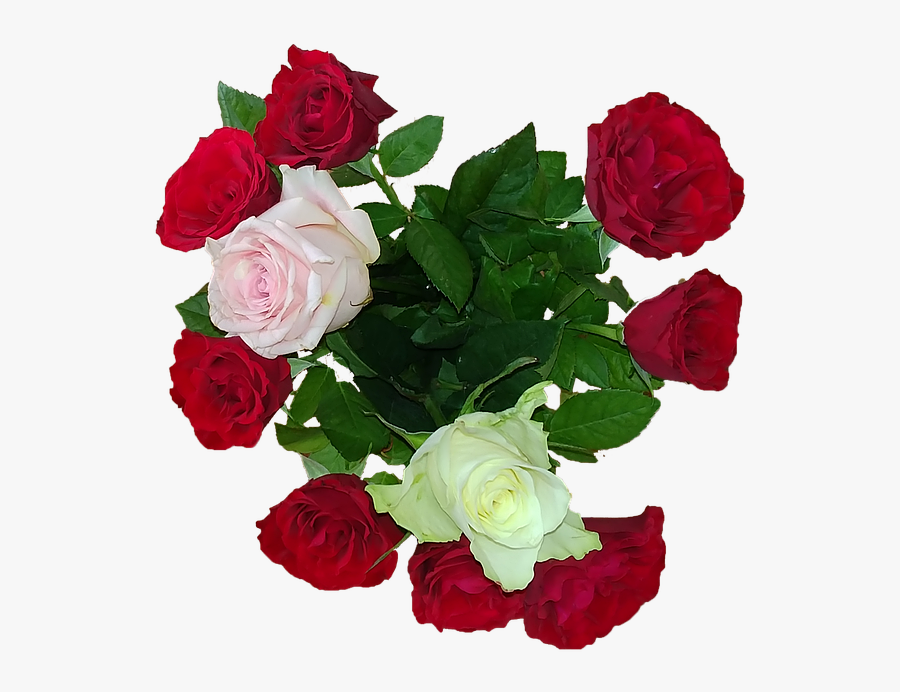 Rose Bouquet Love Give Petal Romance Wedding - Garden Roses, Transparent Clipart