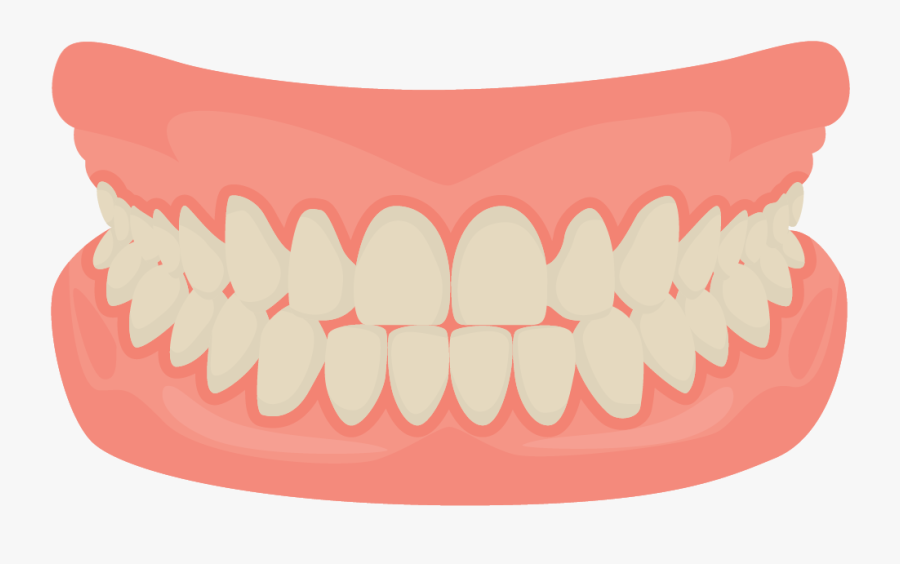 Dentures - Transparent Background Teeth Png, Transparent Clipart