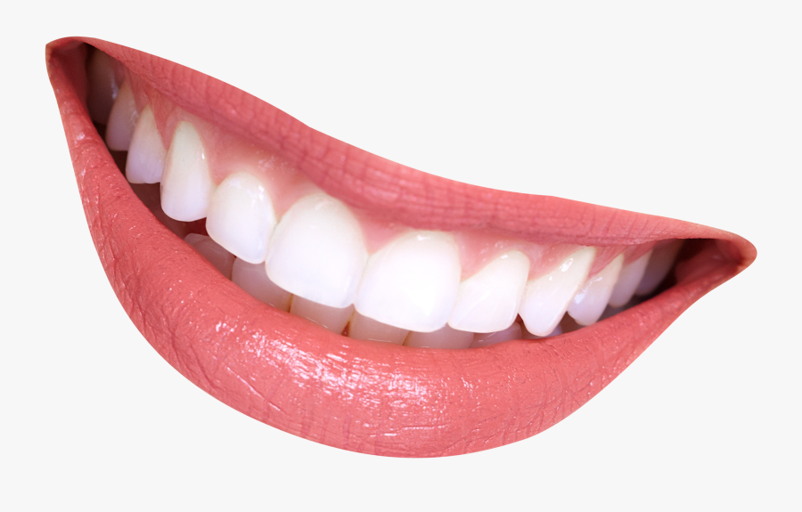 Tooth Smile Lip - Smile Mouth Transparent Background, Transparent Clipart