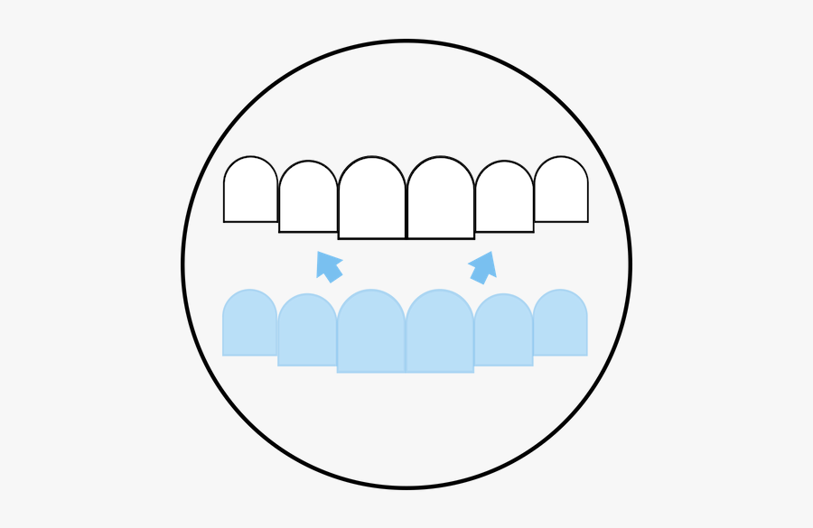 Circle, Transparent Clipart