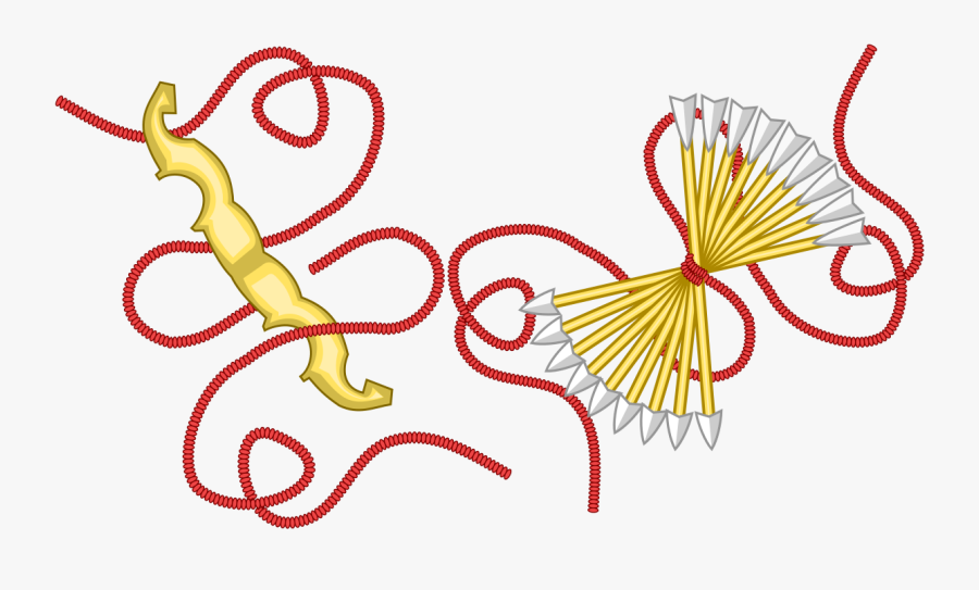 Yugo Y Las Flechas, Transparent Clipart