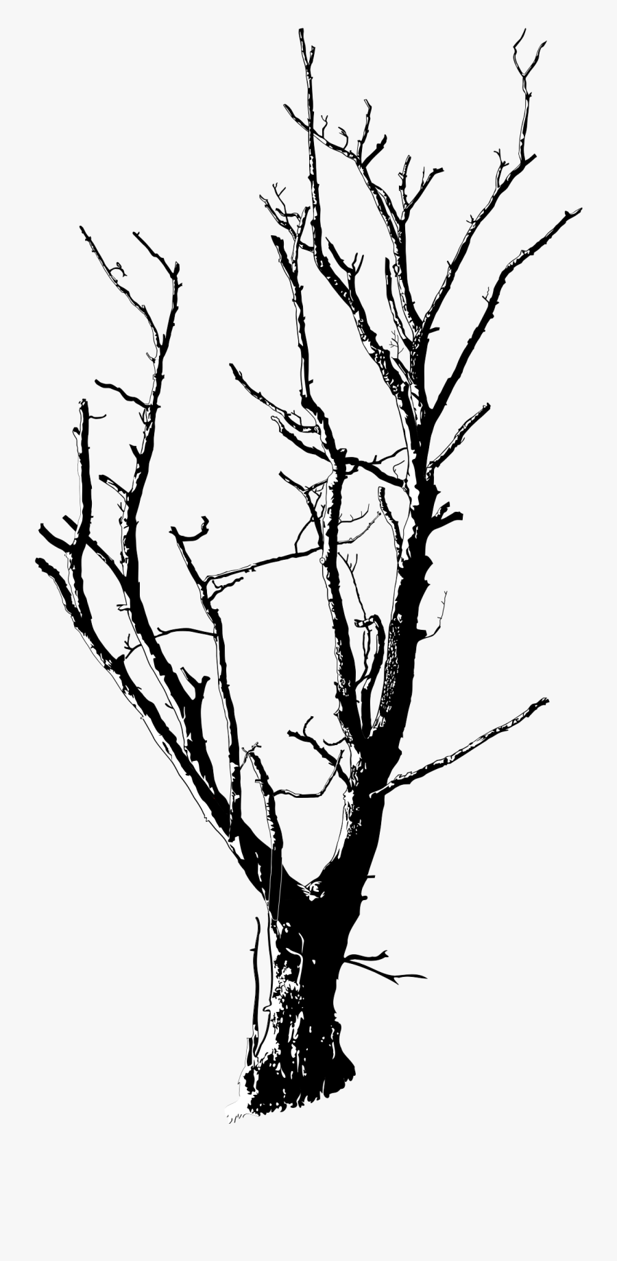 Drawing Branch Silhouette Tree Clip Art - Dead Tree Png, Transparent Clipart