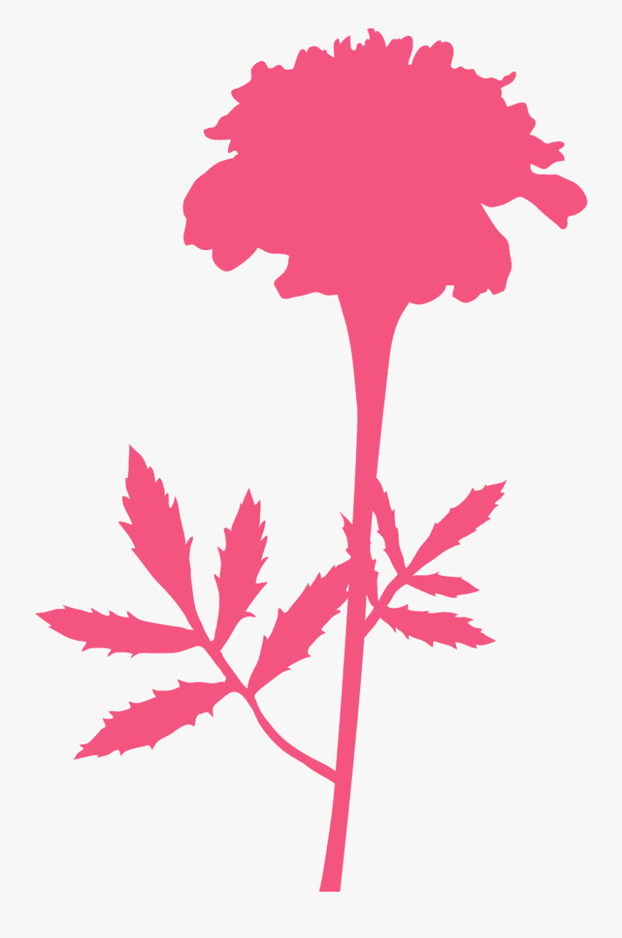 Marigold Silhouette, Transparent Clipart