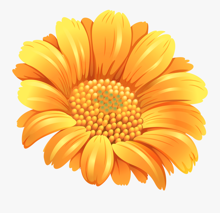 Orange Flowers Png - Flower Png Clipart Orange, Transparent Clipart