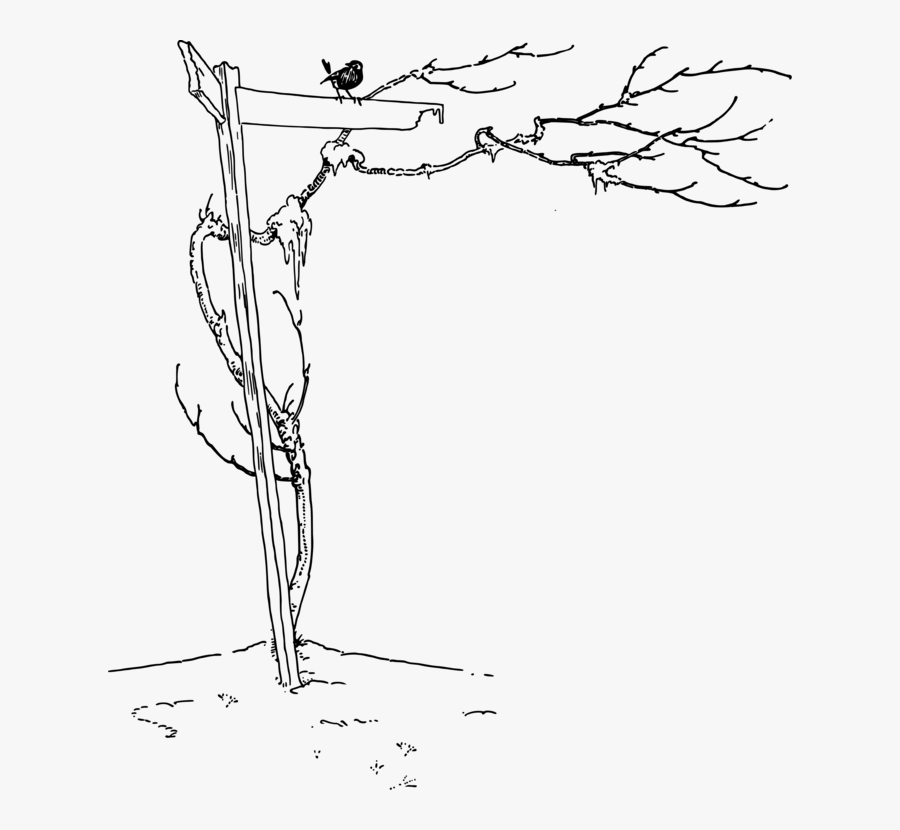 Art,figure Drawing,monochrome - Draw Signpost Tree, Transparent Clipart