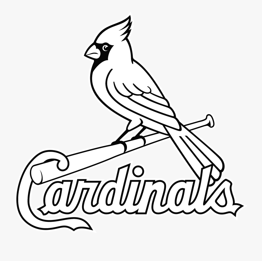 Louis Cardinals Logo Png Transparent Amp Svg Vector - St Louis Cardinals Logo Outline, Transparent Clipart
