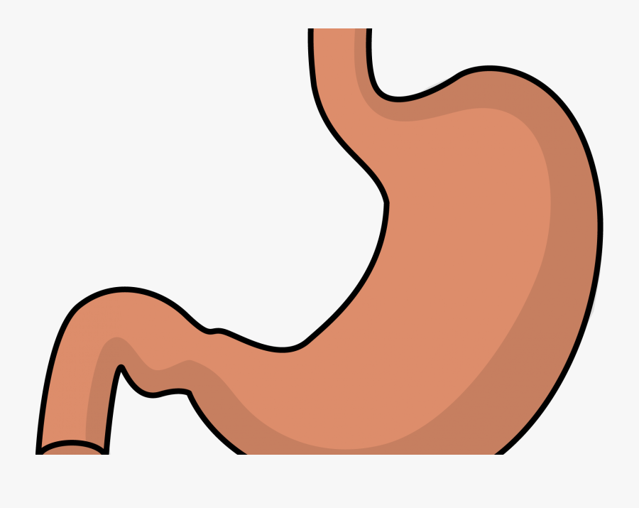 Transparent Barrel Racing Clipart - Transparent Cartoon Stomach, Transparent Clipart