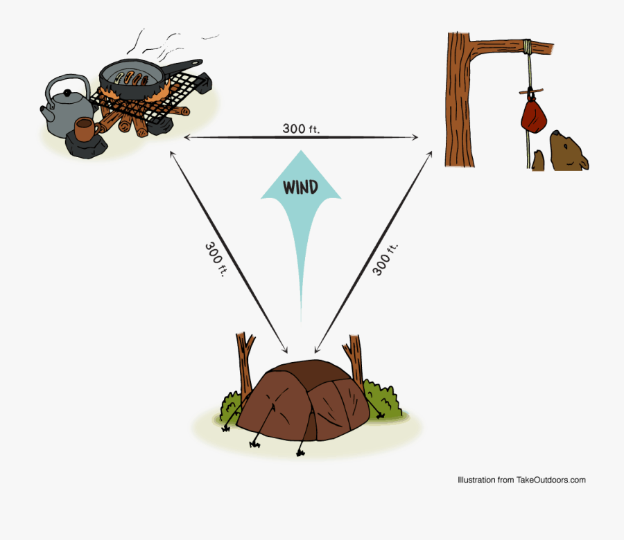 Layout Of The Bear-muda Triangle - Tortoise, Transparent Clipart