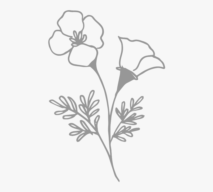 Transparent Wild Flowers Png - Rosa Glauca, Transparent Clipart