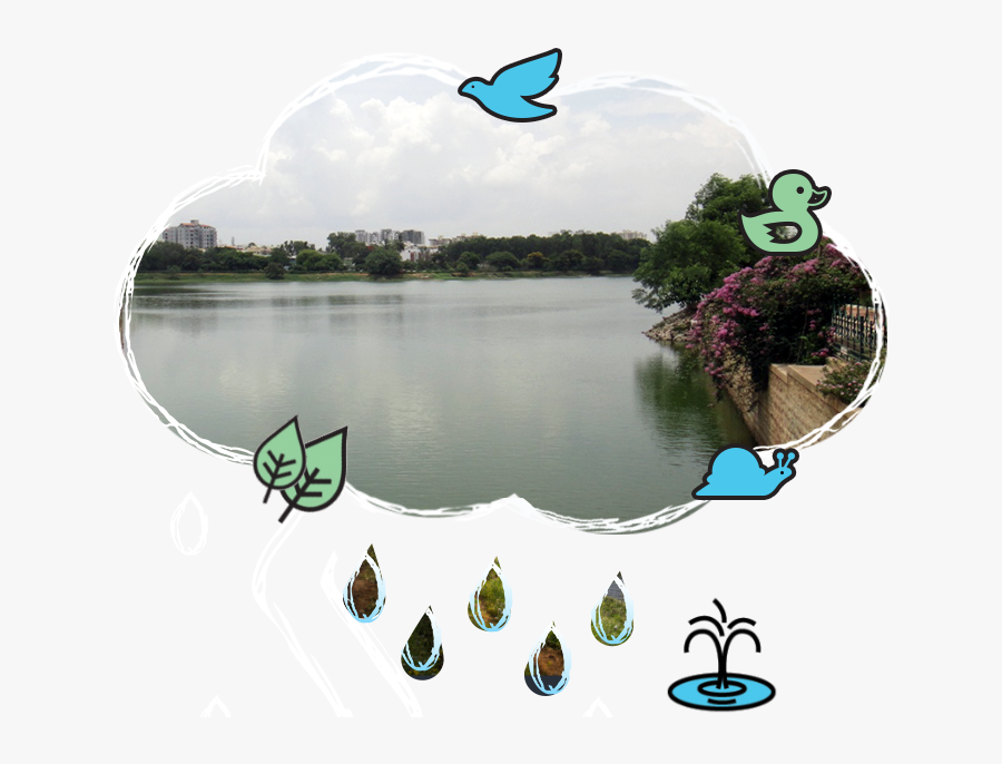 Pavitra Foundation - Reflection, Transparent Clipart