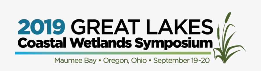 Transparent Wetland Png - Gloucestershire Everyman Theatre - Relaunch Campaign, Transparent Clipart