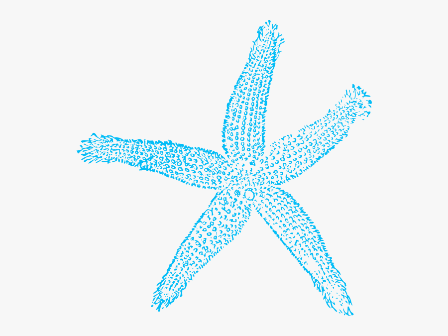 Blue Starfish Svg Clip Arts - Blue Sea Shell Clip Art, Transparent Clipart