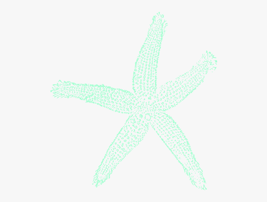 Transparent Starfish Clipart - Estrela Do Mar Png, Transparent Clipart