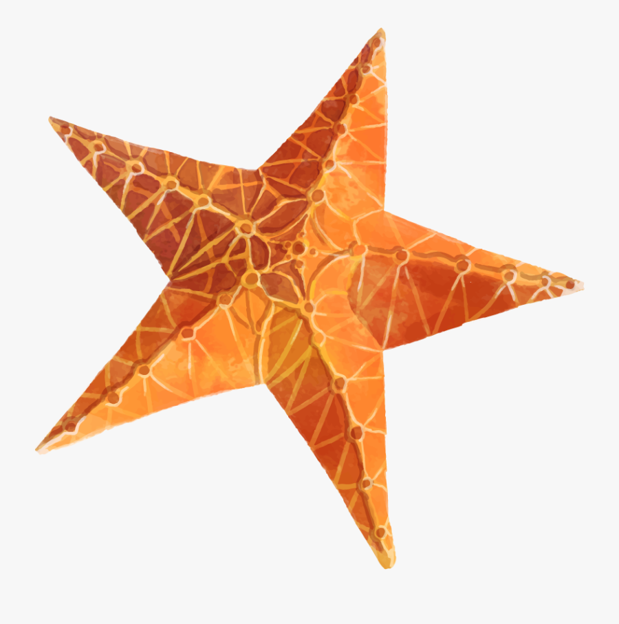 Starfish Clip Art Png - Clip Art, Transparent Clipart
