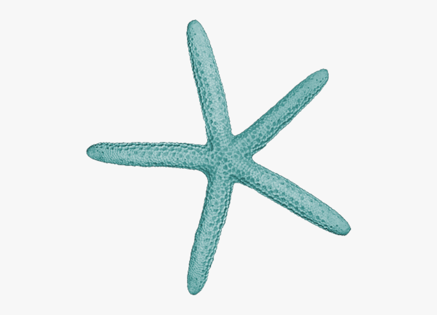 Фотки Starfish, Underwater, Moana Disney, Disney Princess, - Starfish Clipart Teal, Transparent Clipart