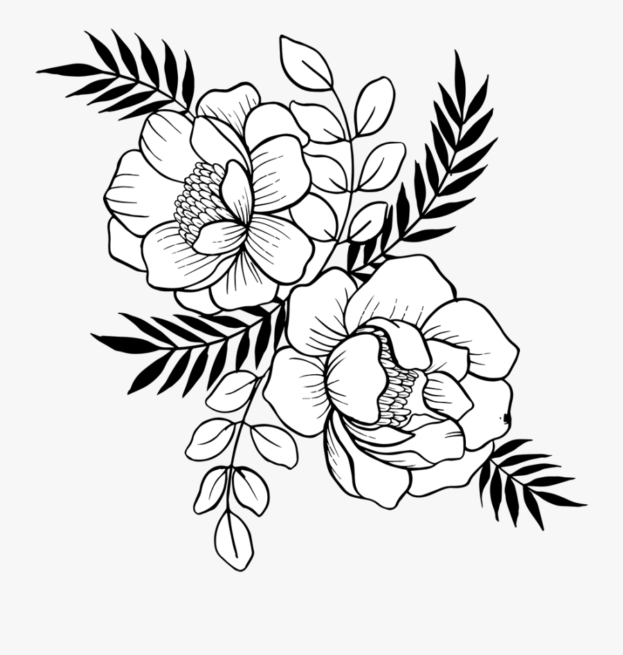 Rosa Glauca, Transparent Clipart