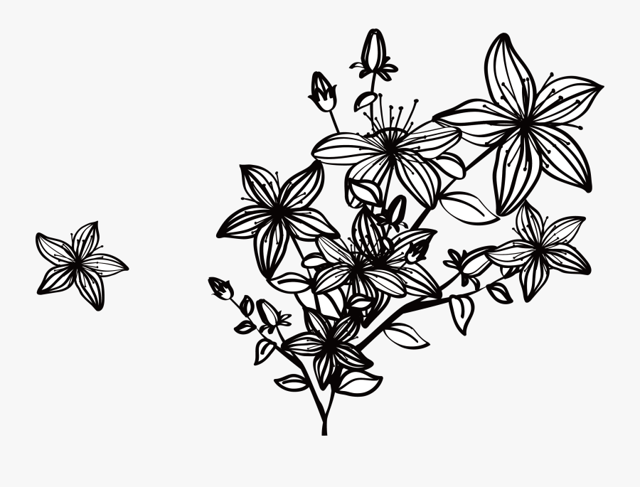 Black And White Flowers Png, Transparent Clipart