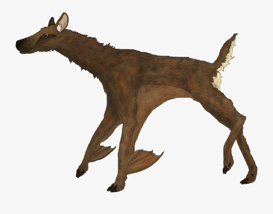 Transparent Herbivore Clipart, Transparent Clipart