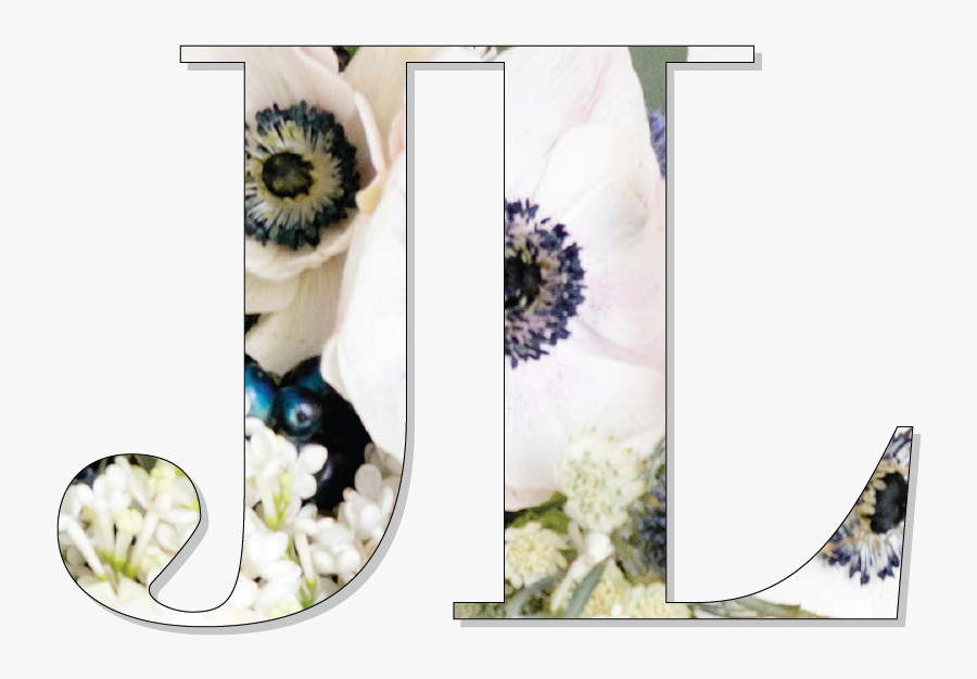 Transparent Dilly Bar Clipart - African Daisy, Transparent Clipart