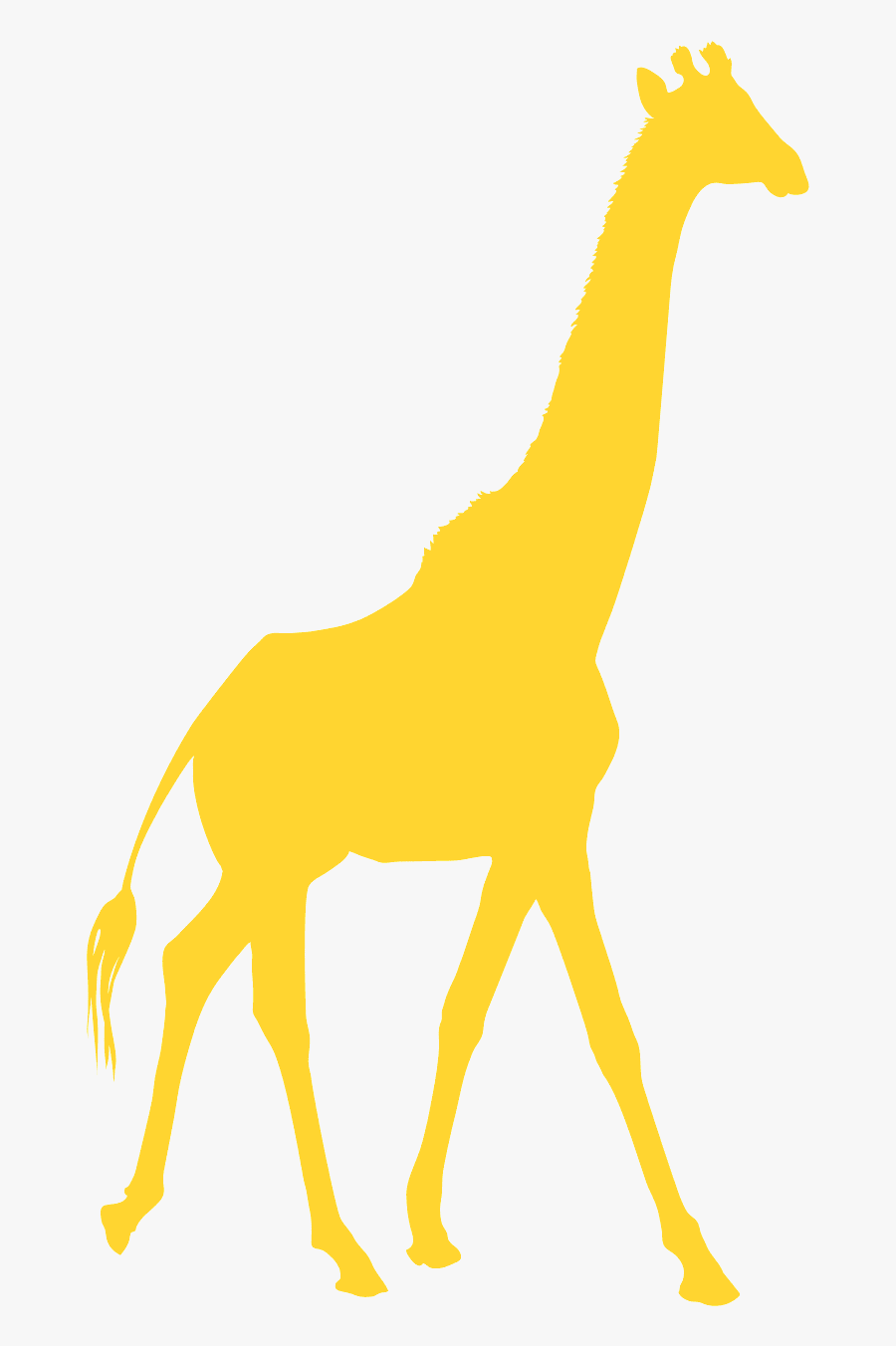 Giraffe, Transparent Clipart