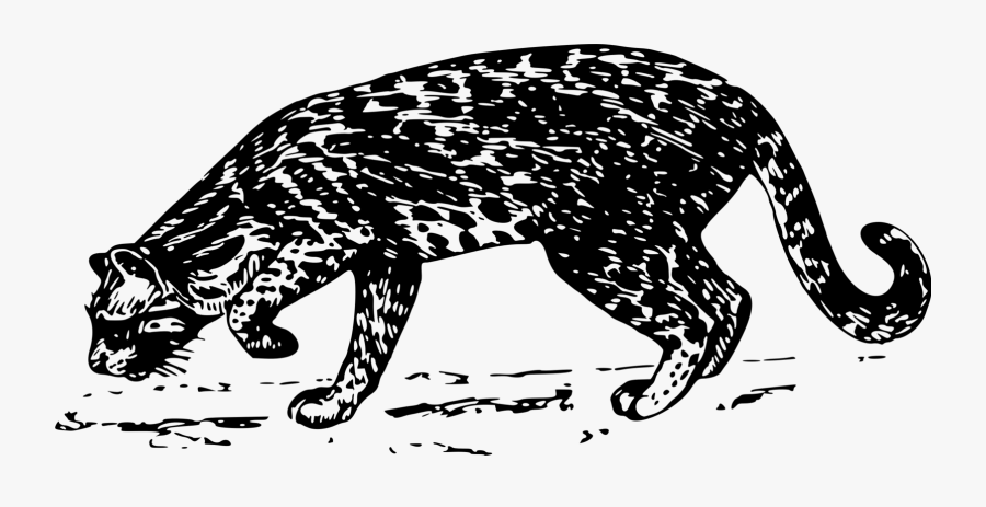 Art,monochrome Photography,carnivoran - Jaguar Warriors Clip Art, Transparent Clipart