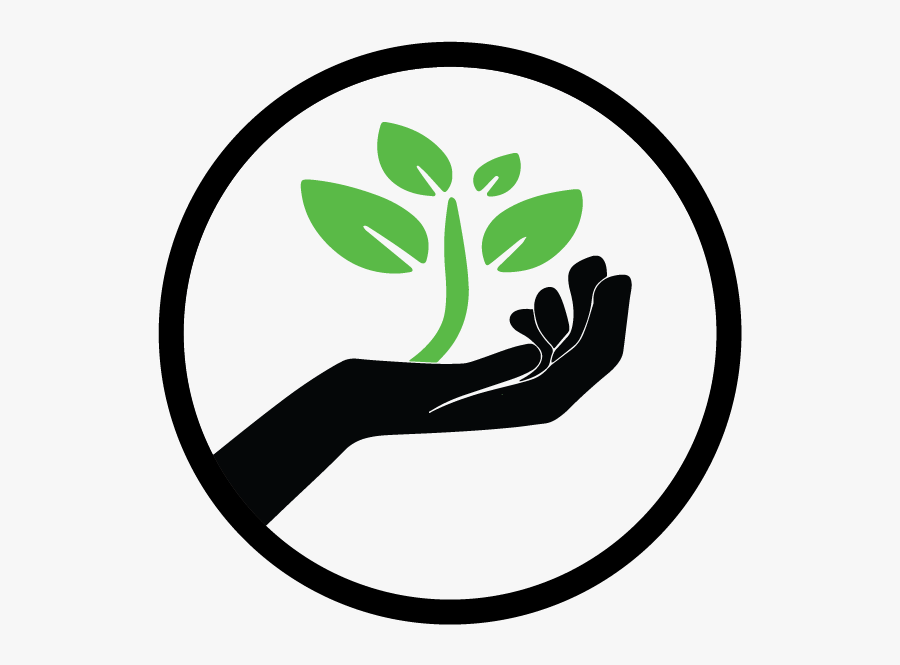 Plant A Seed Logo, Transparent Clipart