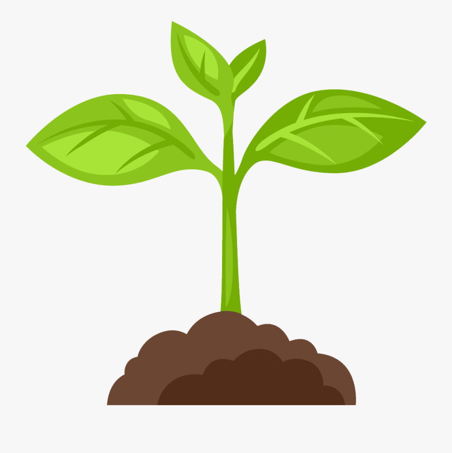 Hand Holding Plant Clipart, Transparent Clipart