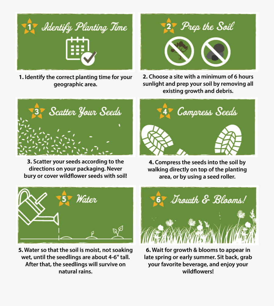 Brochure, Transparent Clipart