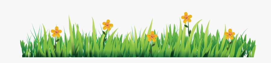 Narcissus, Transparent Clipart