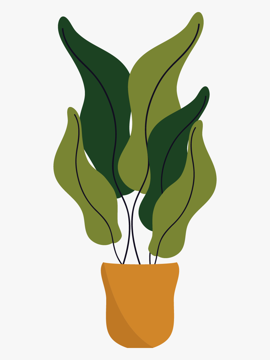 Arum Family, Transparent Clipart