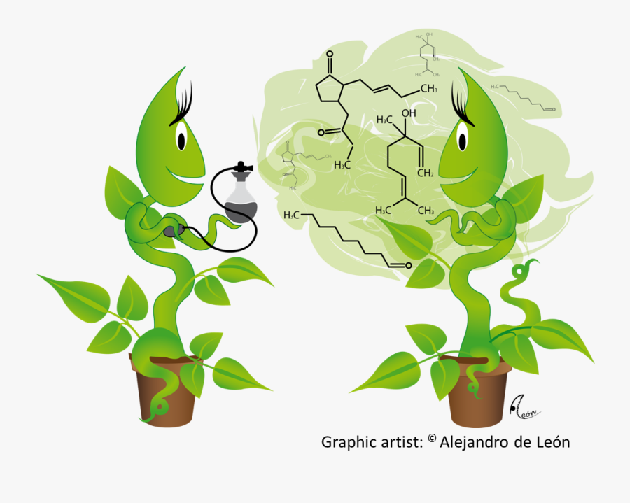 Planting Clipart Biology Plant - Plant Volatiles, Transparent Clipart