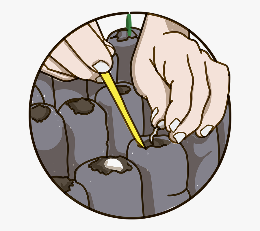 Planting, Seed, Plants, Seedlings, Agriculture, Spring, Transparent Clipart