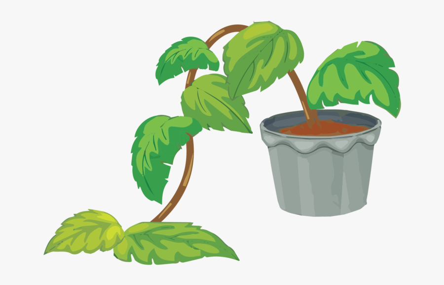 Sick Plant - Flowerpot, Transparent Clipart