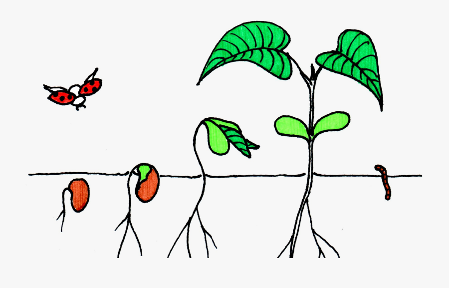 Clip Art, Transparent Clipart