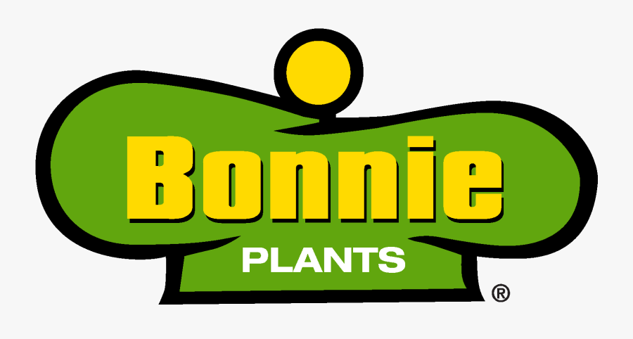 Graphic Design, Transparent Clipart