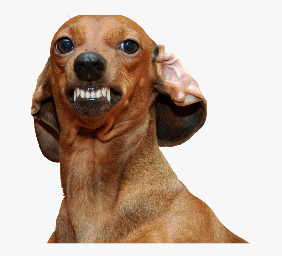 Clip Art Psbattle A Very Wiener - Dogs For Kids, Transparent Clipart