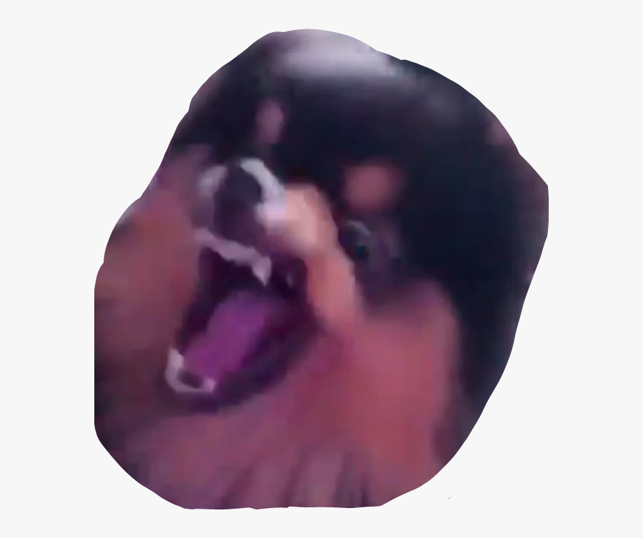 Transparent Angry Dog Png - Yeontan Angry, Transparent Clipart