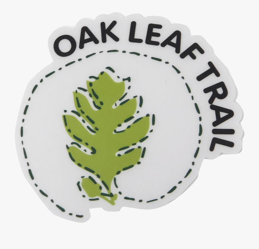Transparent Oak Leaf Png - Pine, Transparent Clipart