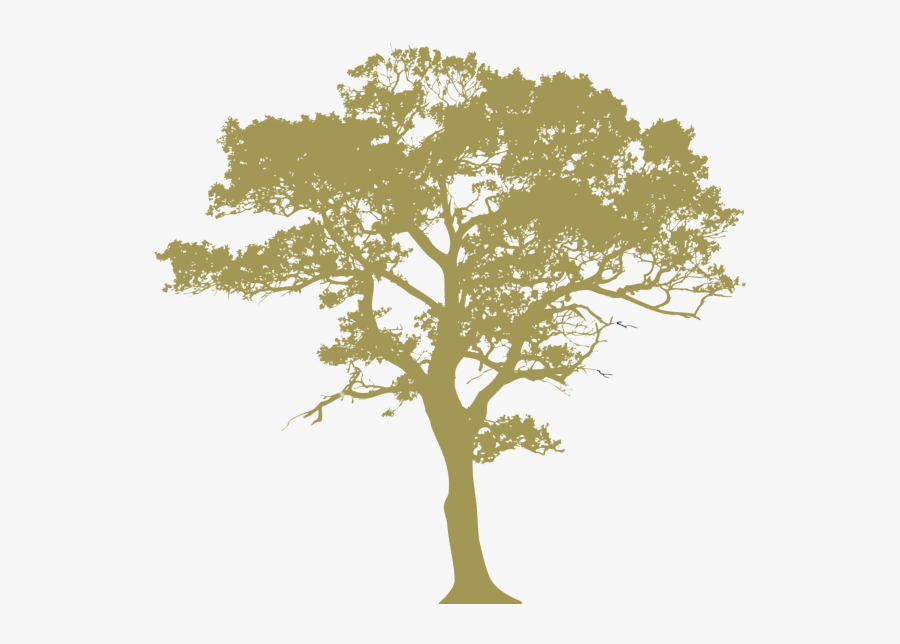 Oak Leaf Png - Gum Tree Silhouette Vector, Transparent Clipart