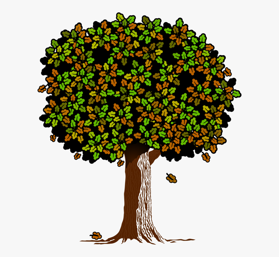 Plant,leaf,tree - Oak, Transparent Clipart
