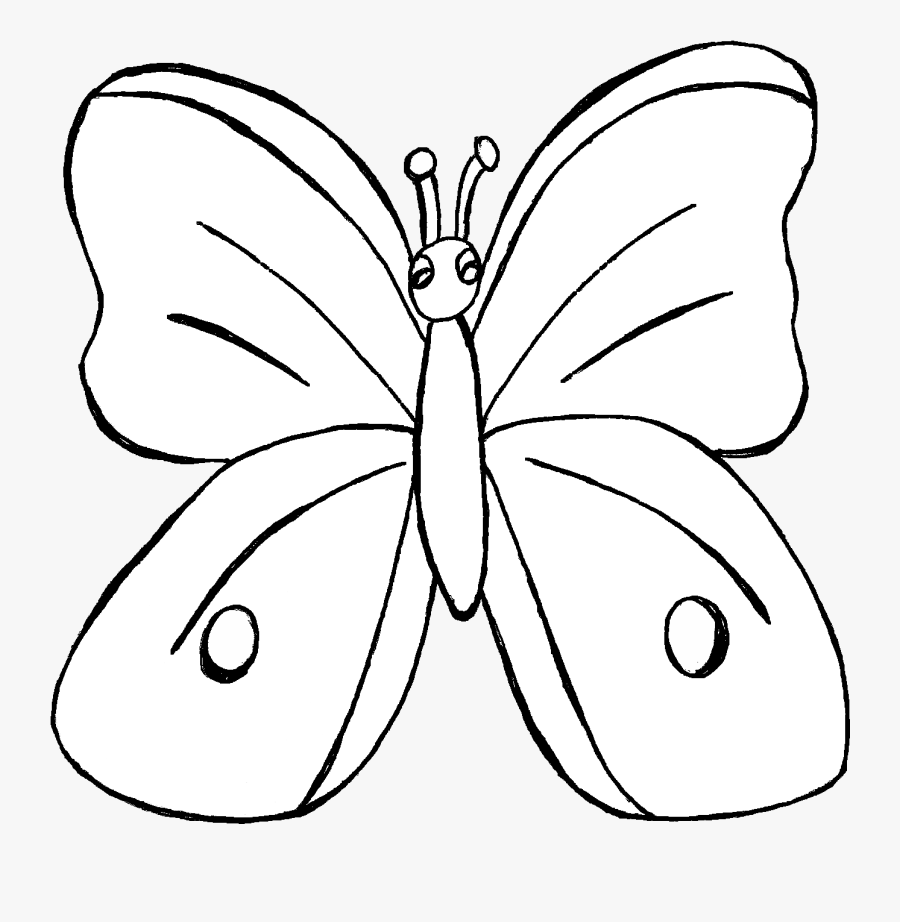 Toucan Clipart Rainforest Butterfly - Brush-footed Butterfly, Transparent Clipart