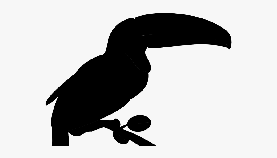 Bird, Drawing, Illustration, Transparent Png Image - Tucano Png, Transparent Clipart