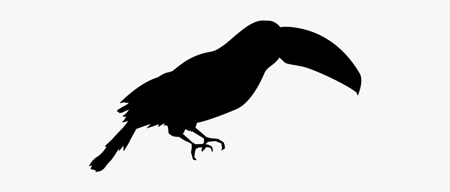 Red Shouldered Hawk, Transparent Clipart