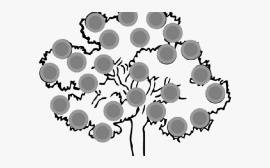 Outline Pictures Of Tree, Transparent Clipart