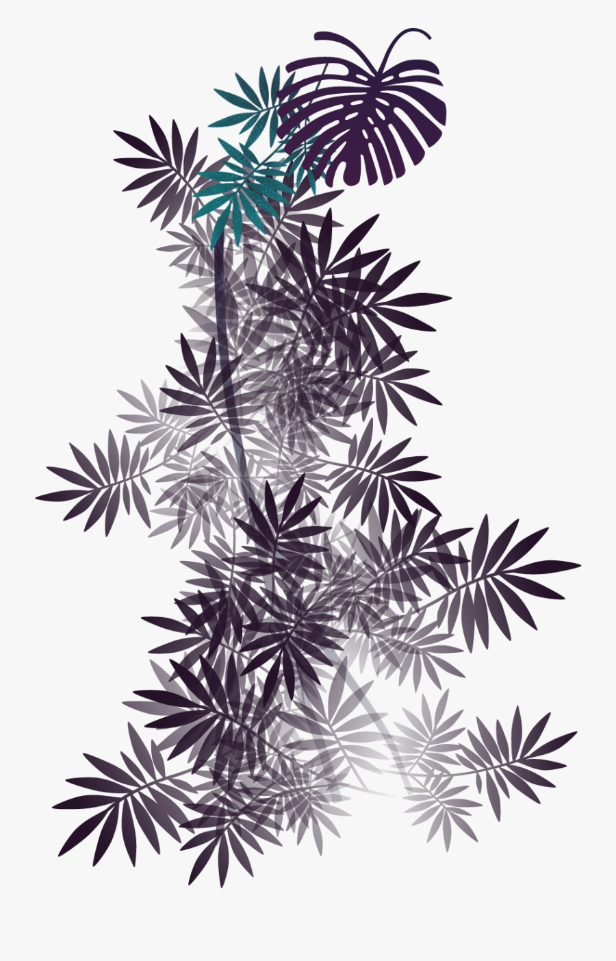 Georgia Pine, Transparent Clipart