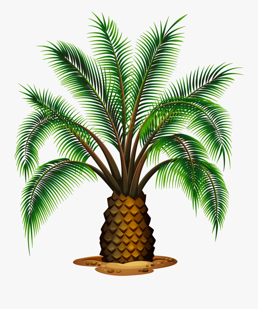 Palm Tree Clipart Pineapple Tree - Malaysia Palm Oil Industry, Transparent Clipart
